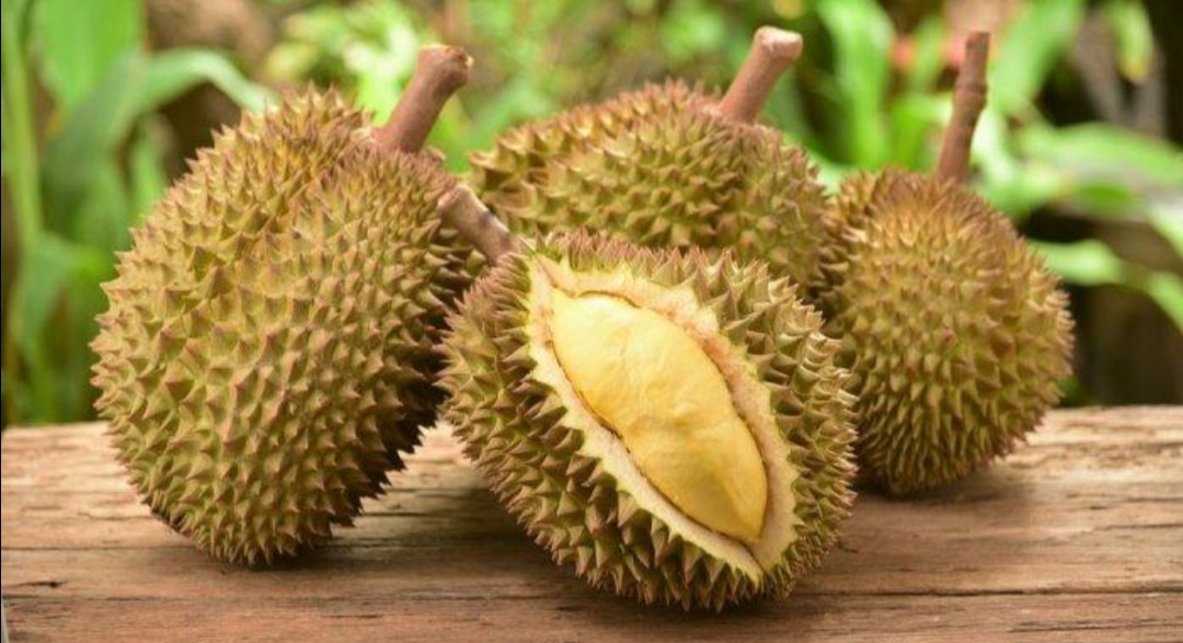 Inilah 4 Manfaat Buah Durian Untuk Kesehatan