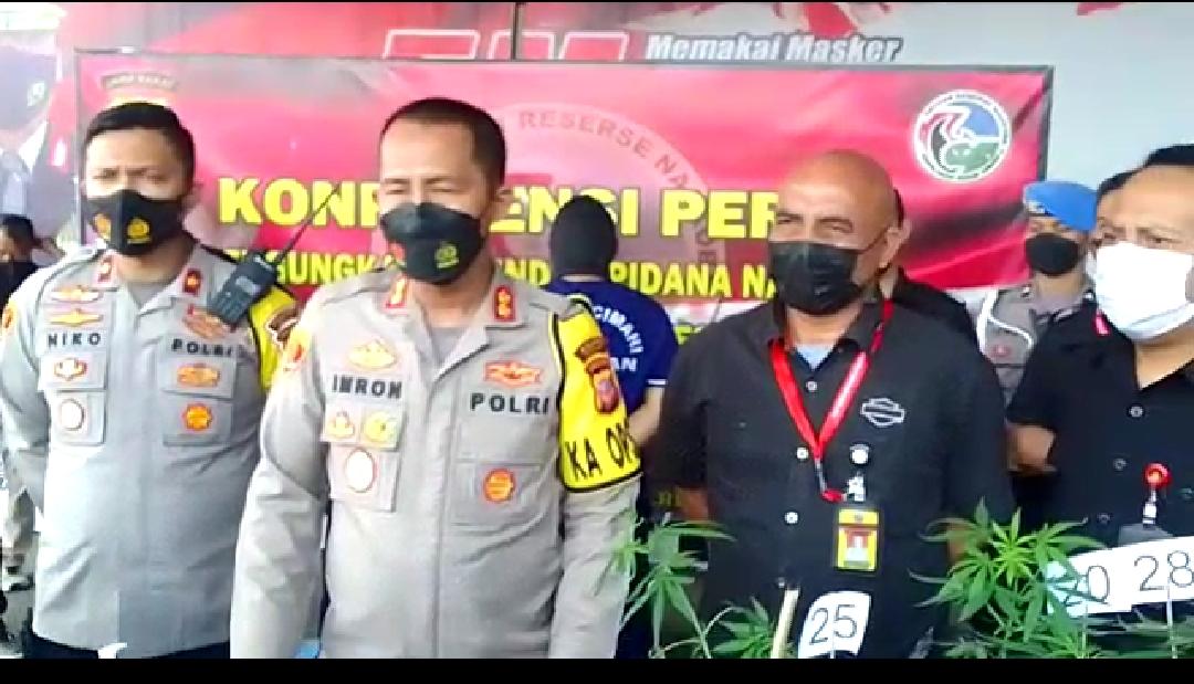 Kapolres Cimahi AKBP Imron Ermawan saat gelar perkara pelaku penanam pohon ganja di Mapolres Cimahi, Kamis (15/04). EKO SETONO/PASUNDAN EKSPRES