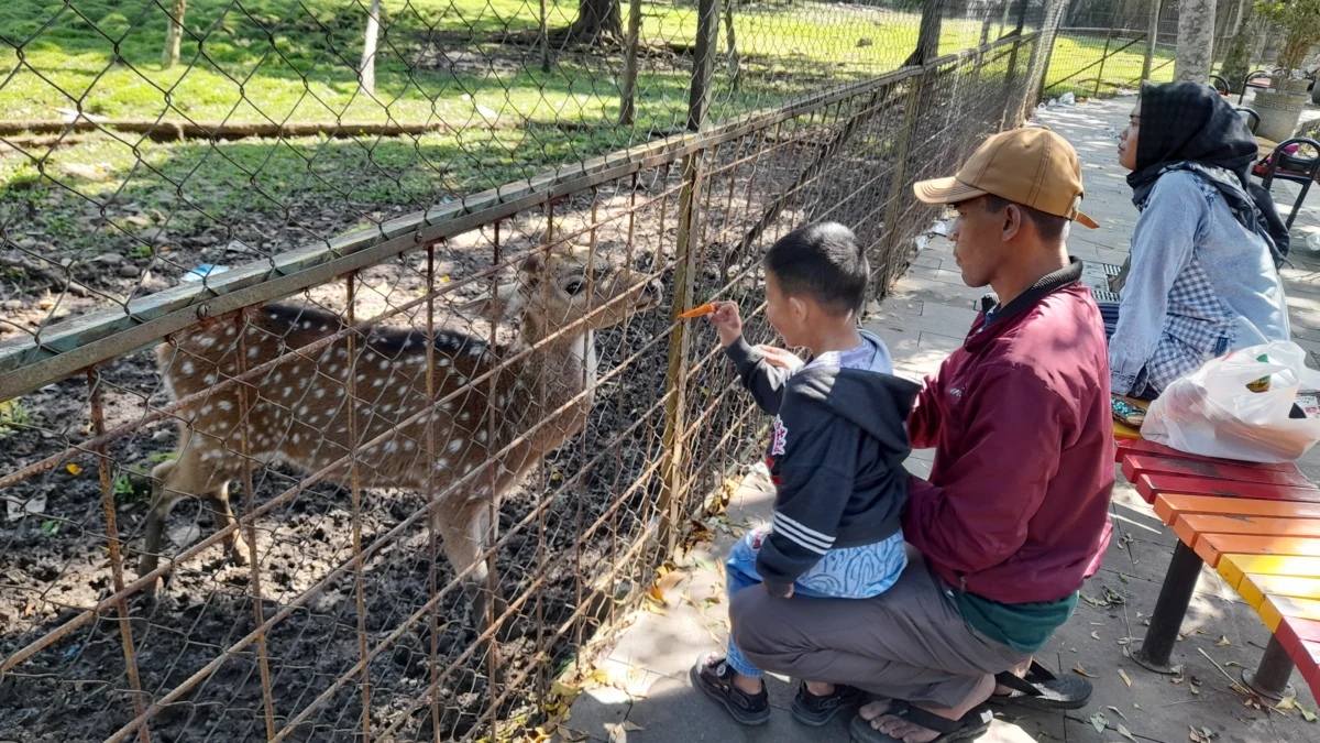 Liburan Gratis saat Lebaran di Area Perkantoran Kabupaten Bandung, Ada Taman Uncal