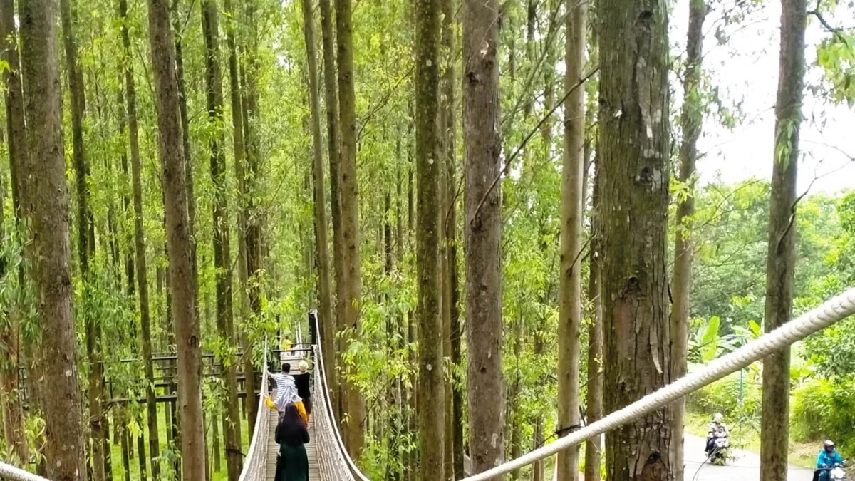 Hutan Kertas jadi Satu Destinasi Wisata Pilihan di Karawang