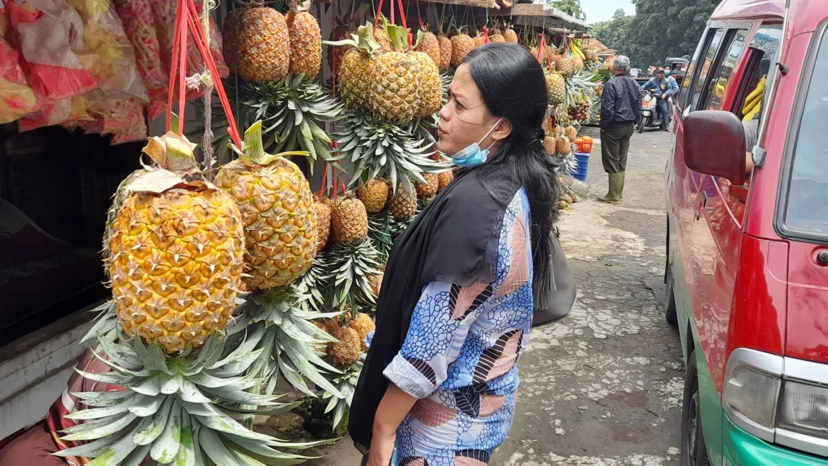 Nanas Subang Diburu Wisatawan Luar Daerah