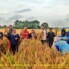 Petani di Subang Sudah Selesai Panen