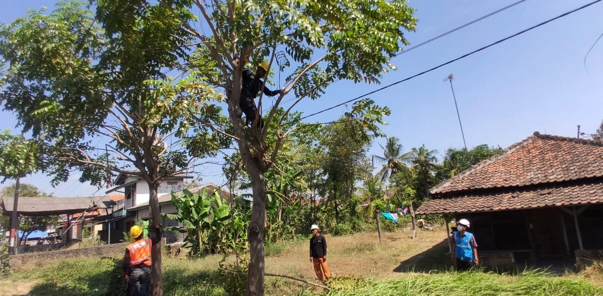 Info Pemadaman Listrik di Subang Besok 17 Mei 2022, Cek Lokasinya di Sini