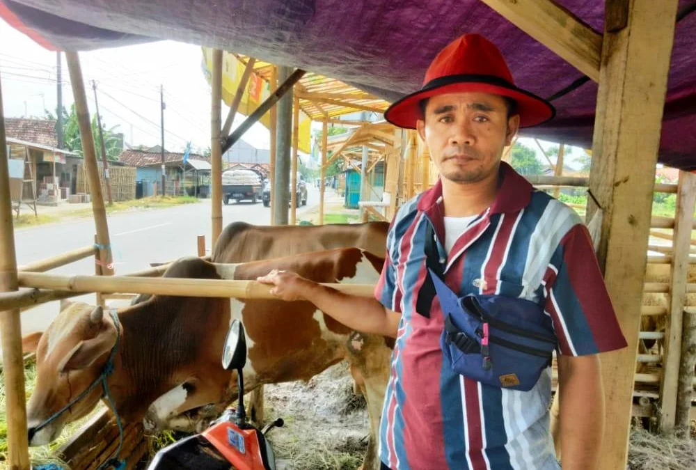 Wabah Penyakit Mulut Dan Kuku Mengancam, Harga Hewan Kurban di Karawang Tetap Naik