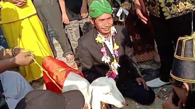 VIRAL! Soal Pria yang Menikah dengan Kambing di Gersik, Ternyata Begini Faktanya..