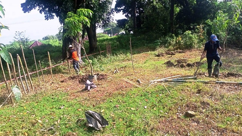 PENANAMAN POHON : Program penanaman pohon merupakan pelestarian lingkungan upaya perlindungan alam dan penyelamatan Waduk Jatiluhur sebagai sumber mata air. MALDI/PASUNDAN EKSPRES