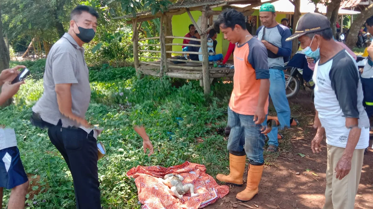 Geger! Mayat Bayi Perempuan Ditemukan Tak Bernyawa Mengambang di Sungai Tarum Timur Subang   