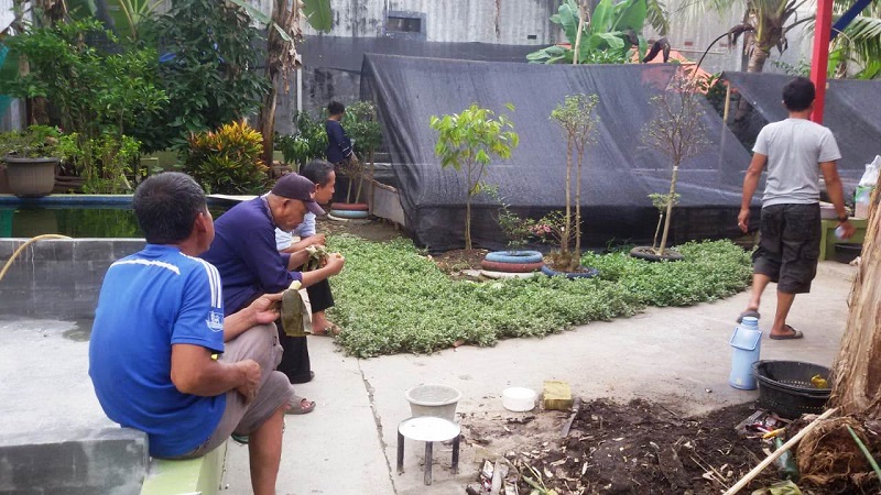 BUDIDAYA IKAN : Sejumlah kolam ikan lele di wilayah Desa Kamarung yang digagas oleh Sekdes Kamarung Kiki Akbar. DADAN RAMDAN/PASUNDAN EKSPRES