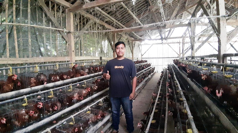 TERNAK: Usaha produksi telur ayam yang dijalani Rizky mengalami penurunan. Selain faktor cuaca, harga juga pakan mempengaruhi. CINDY DESITA/PASUNDAN EKSPRES