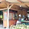 KULINER: RM Ayam Bakar Pedo yang berlokasi di Jl. Wantilan - Cipeundeuy, Subang ini sudah berdiri sejak 2012 lalu. Menyediakan berbagai menu diantaranya olahan ayam pejantan yang menjadi menu favorit. CINDY DESITA/PASUNDAN EKSPRES