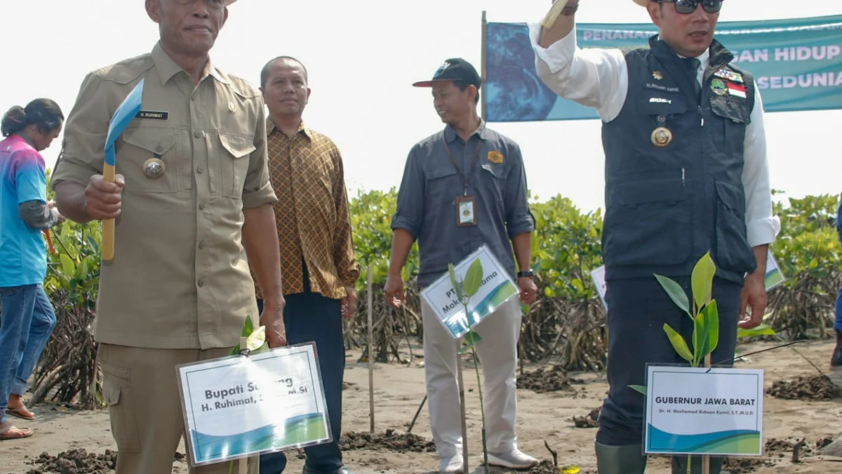 Abrasi, 11 Hektar Lahan di Bibir Pantai Pondok Bali Hilang