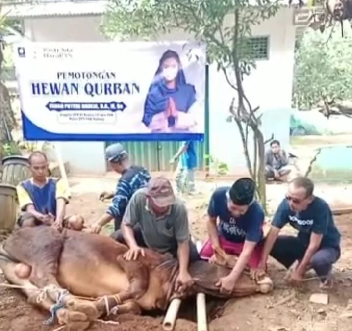 Ketua DPD PAN Subang Neng Farah, Kurban 4 Ekor Sapi