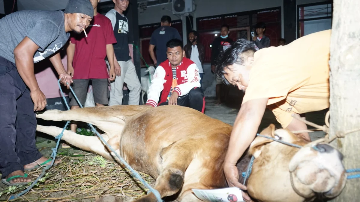 Gotong Royong, DPC PDIP Subang Kurban 4 Sapi dan 6 Kambing