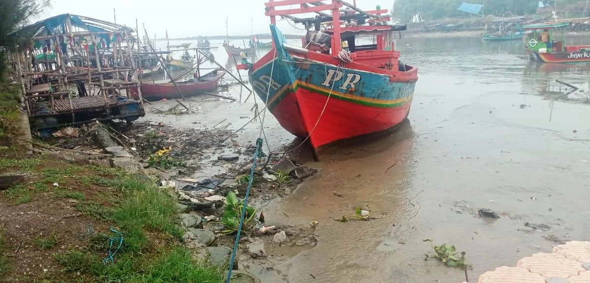 Harga Rajungan Anjlok, Nelayan Di Karawang Menjerit