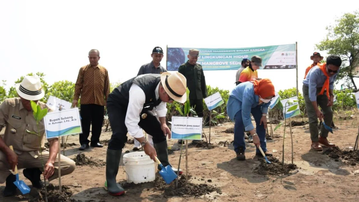 11 Hektare Kawasan Pesisir Pantai Utara Jawa Barat Tergenang