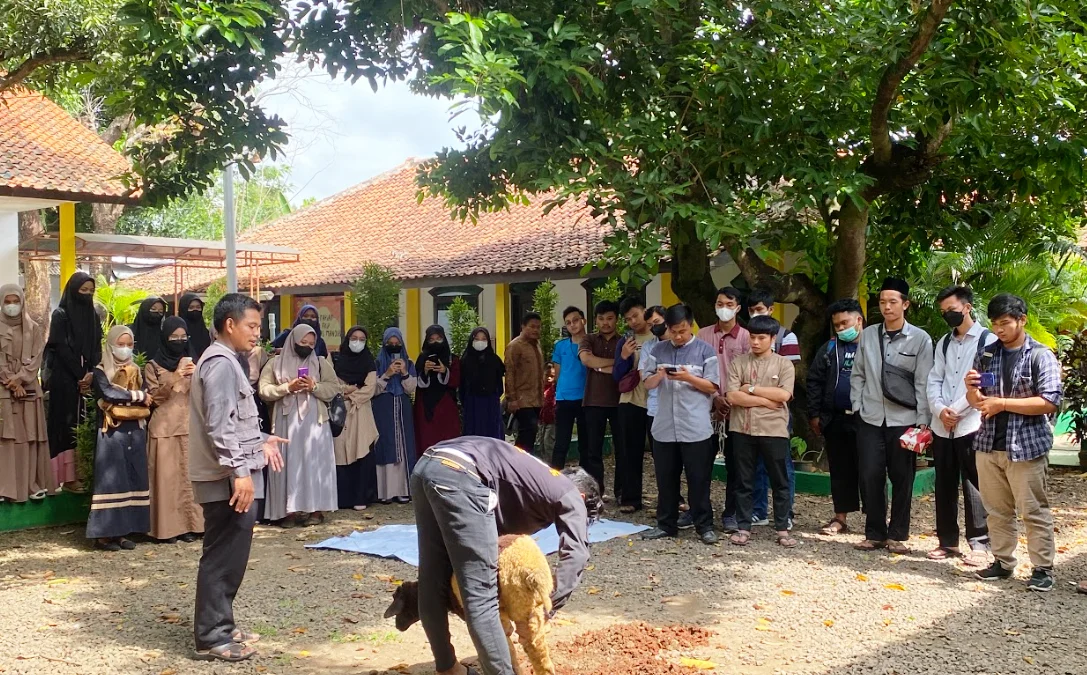 Lembaga Dakwah Kampus Universitas Mandiri Gelar Pelatihan Ibadah Kurban Lembaga Dakwah Kampus Universitas Mandiri Gelar Pelatihan Ibadah Kurban