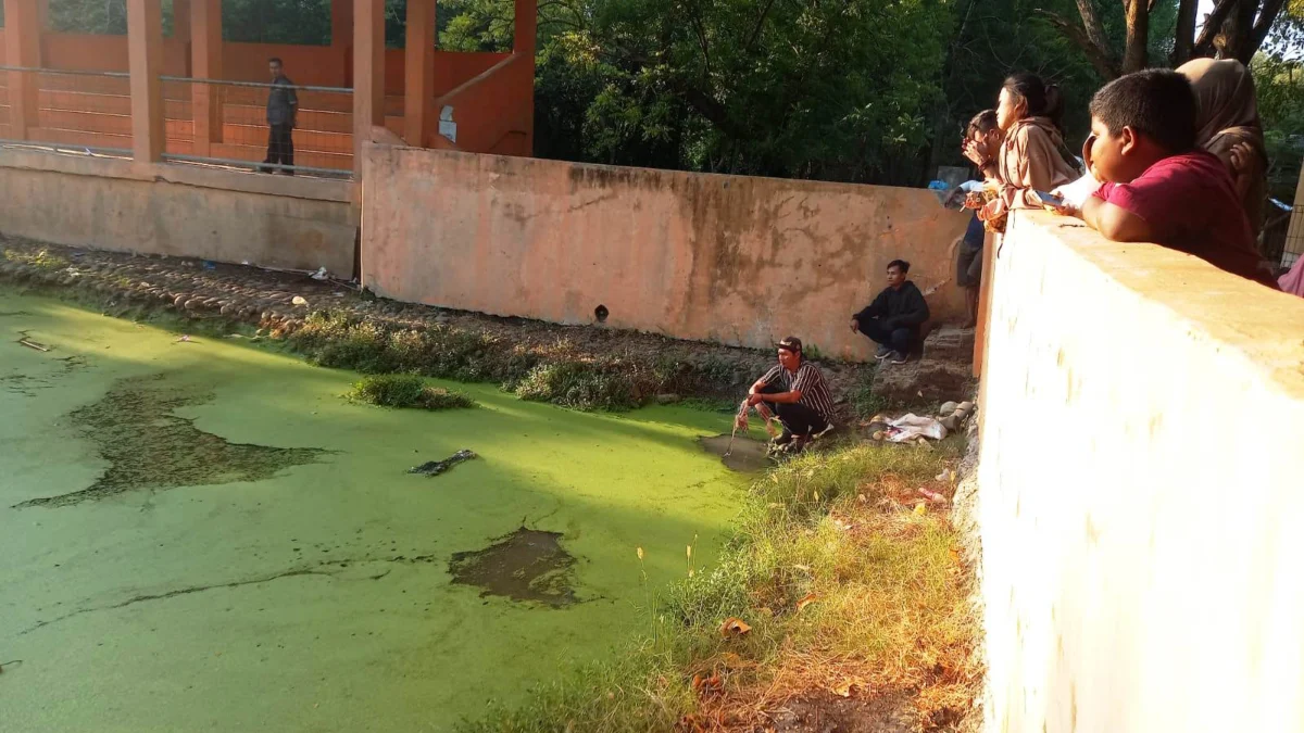 Wisata Edukasi di Lokasi Penakaran Buaya Blanakan