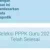 Guru Honorer Gembira Menu SSCASN Berubah, Peserta PPPK 2022 Siapkan Diri