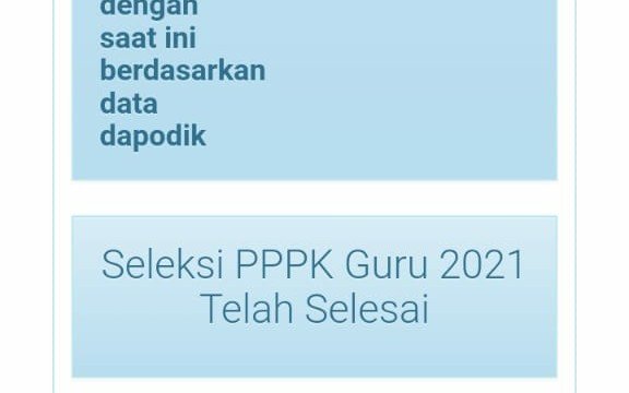 Guru Honorer Gembira Menu SSCASN Berubah, Peserta PPPK 2022 Siapkan Diri