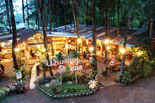 KAFE: Kafe Warung Pinus, Rekomendasi Tempat Nongkrong di Subang yang Hits dan Instagramable. CINDY DESITA/PASUNDAN EKSPRES