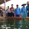 Narapidana Hasilkan Uang dari Ternak Ikan Patin