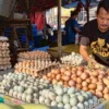 Pemasok Telur Alihkan Distribusi? Disperindag Selidiki Dugaan Penyimpangan