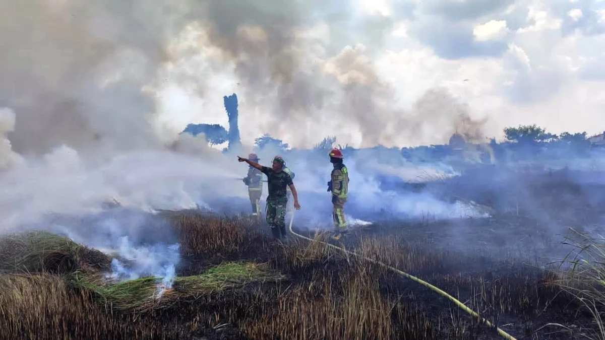 Pemadaman Kebakaran Lahan Kosong di Purwakarta Dibantu Serka Mamat Babinsa Desa Citalang dan Masyarakat Setempat