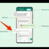 Cara Menggunakan Fitur Baru Whatsapp untuk Admin Grup, Hapus Obrolan Spam (WAbetaInfo)