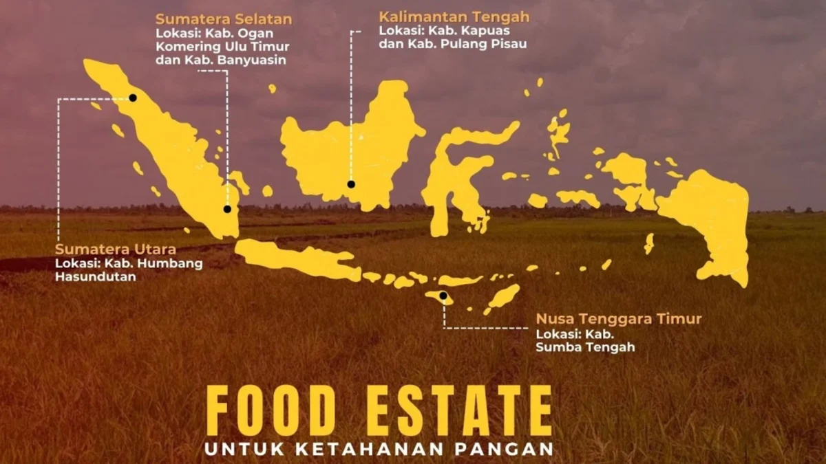 Potensi Buah di Food Estate Kalteng Mencapai Rp79,55 Miliar