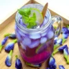 Wajib Dicoba! Resep Minuman Bunga Telang yang Segar dan Menyehatkan