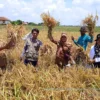 embung untuk produktvitas petani