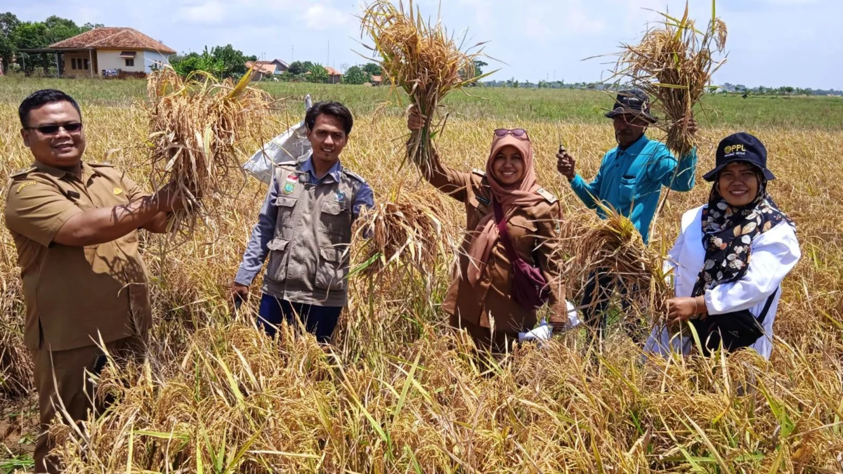 embung untuk produktvitas petani