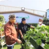 “BRI Menanam” Targetkan Tanam 1,75 Juta Bibit Pohon Produktif Hingga 2023 Untuk Pengurangan Emisi Karbon