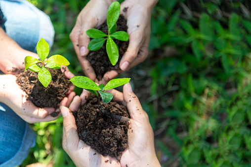 Telaga Desa KIIC Galakan School Go Green