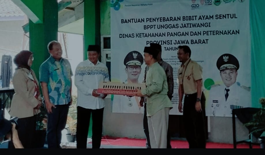 Berdayakan Santri Tani, Kang Uu Salurkan Bantuan 1.000 Bibit Ayam ke Pesantren 