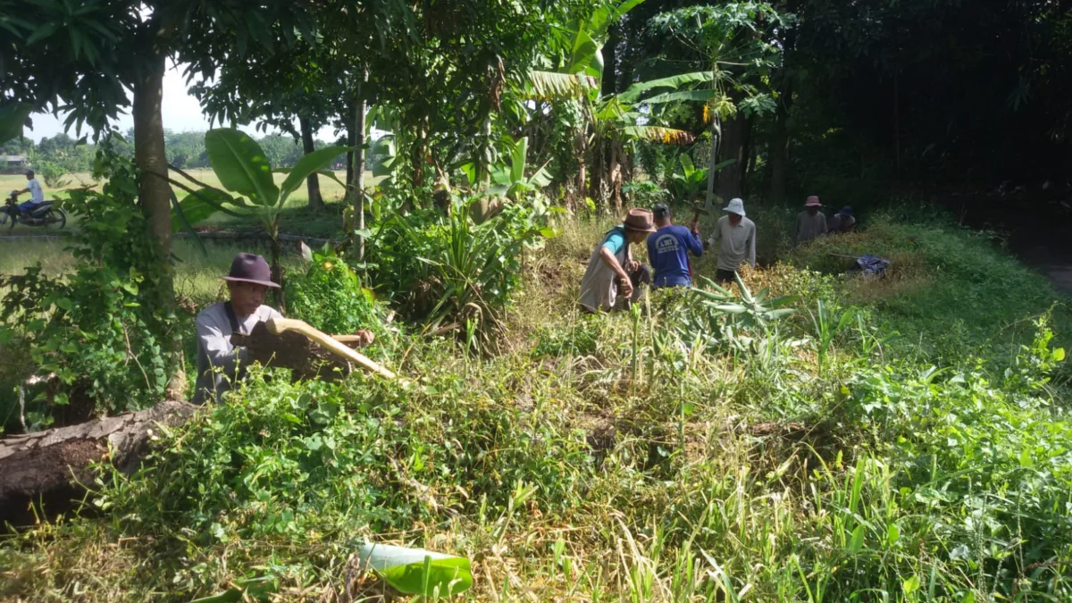 Sambut Musim Tanam, Mitra Cai Bareng Petani Bersihkan Irigasi