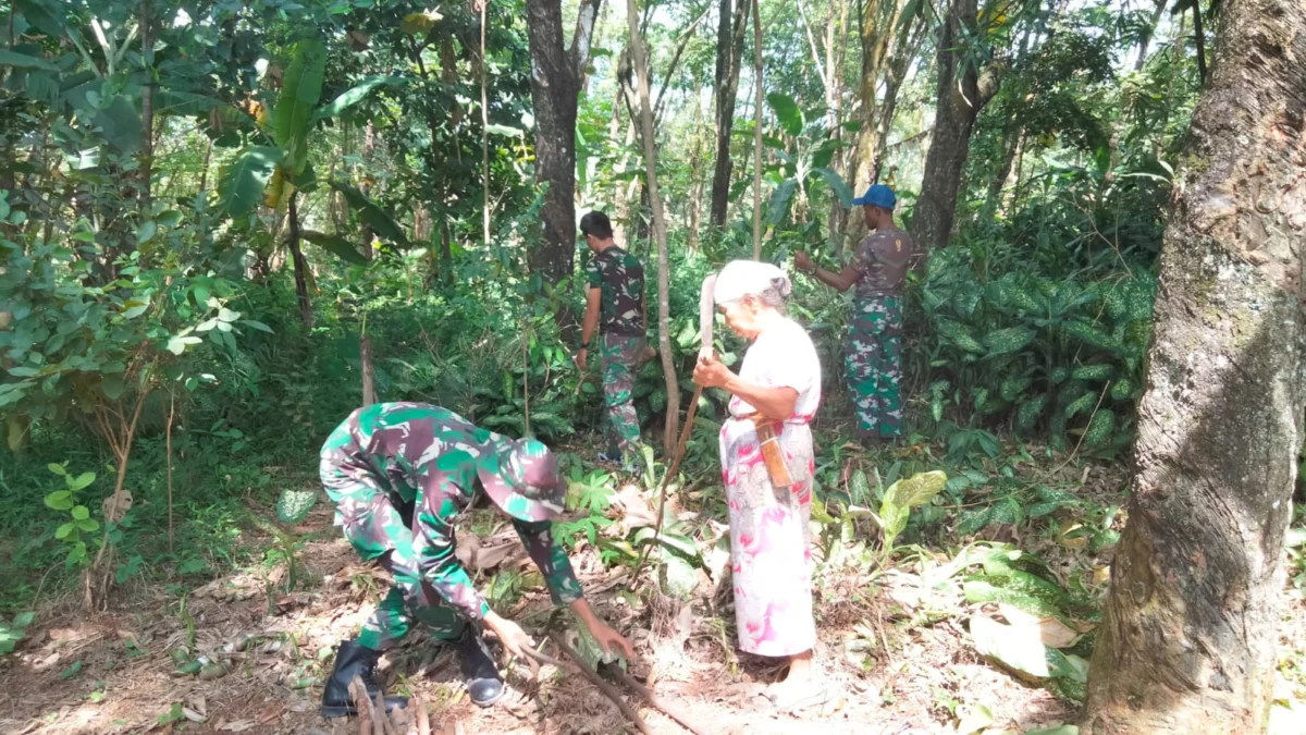 Satgas TMMD Kodim Subang Bantu Seorang Nenek Cari Kayu Bakar