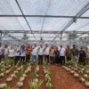 Genjot Produksi, Kementan Bangun Nursery Modern Kelapa