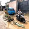 TANAM PISANG: Pengendara melintasi Jalan Cipatik-Ciraden Desa Cipatik, Kecamatan Cihampelas, Kabupaten Bandung Barat (KBB) yang ditanami pohon pisang di tengah jalan, Senin (10/10).EKO SETIYONO/PASUNDAN EKSPRES