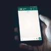 Mudah Banget! Cara Menyadap Whatsapp Pacar dan Melihat Chat Dihapus, Tanpa Aplikasi Tambahan (ilustrasi wa via unsplash-Christian Wiediger)