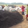 PRODUKSI SEKAM BAKAR: Marimun bersama isterinya pemilik produksi Sekam Bakar saat di pengolahan produksi Sekam Bakar Kp. Tanjungjaya Desa Munjul Kecamatan Pagaden Barat.DADAN RAMDAN/PASUNDAN EKSPRES