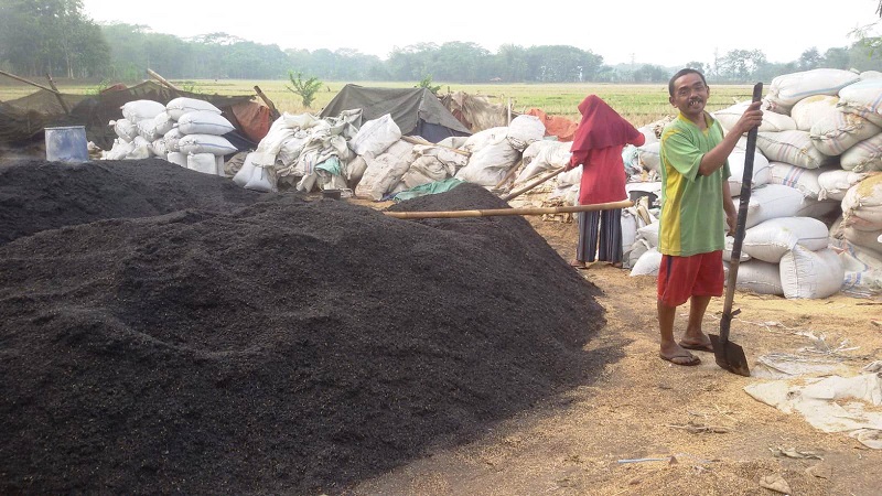 PRODUKSI SEKAM BAKAR: Marimun bersama isterinya pemilik produksi Sekam Bakar saat di pengolahan produksi Sekam Bakar Kp. Tanjungjaya Desa Munjul Kecamatan Pagaden Barat.DADAN RAMDAN/PASUNDAN EKSPRES