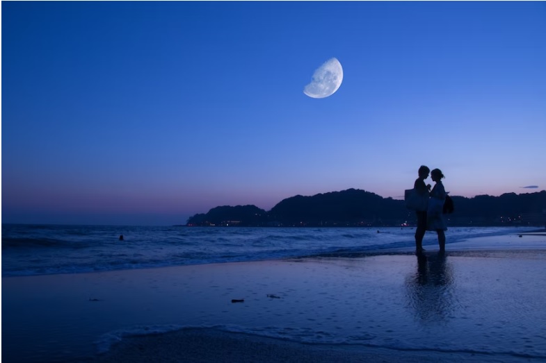 The Moon is Beautiful Isn’t it Meaning Maksudnya Apa? Ini Artinya Lengkap Jawabannya (the moon, via unsplash-El Salanzo)