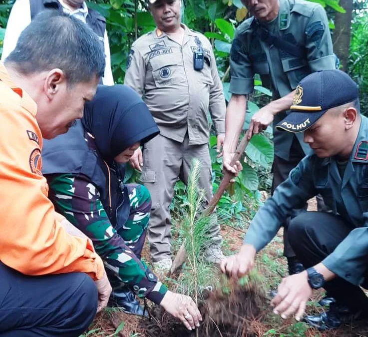 hutan Cikole