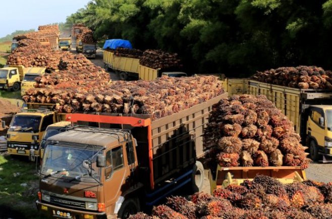 Perkembangan Gugatan Indonesia di World Trade Organization (WTO) Atas Kebijakan Diskriminasi Sawit