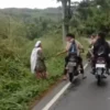 Viral Pelajar Tendang Nenek di Jalan