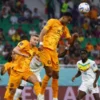 hasil Senegal vs Belanda