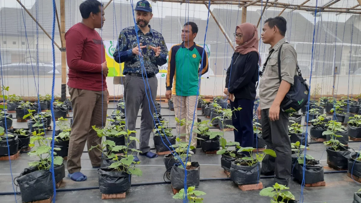 Petani Dapat Bantuan Rp10 hingga Rp100 Juta, Presiden IFAD Cek Langsung Program Yess di Subang