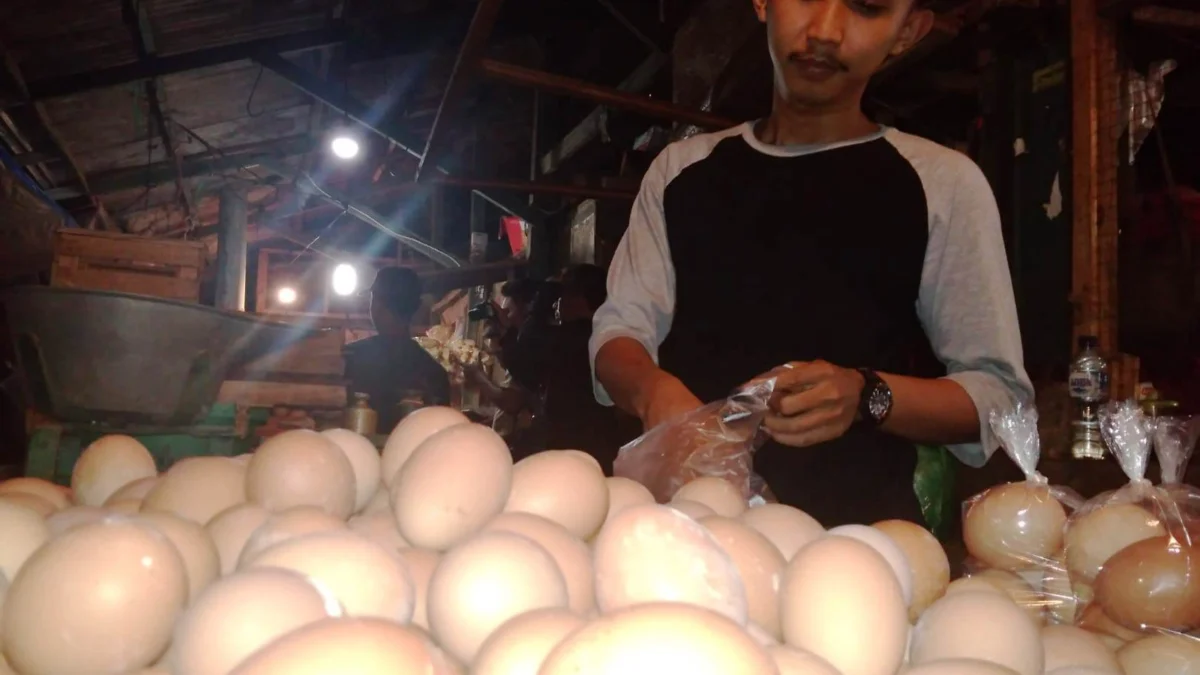 Harga Telur