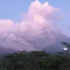 Gunung Semeru erupsi hari ini